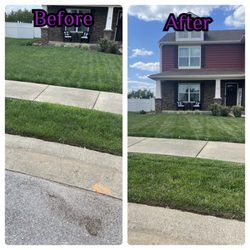 Peak Performace Lawn Care & Presure Washing - Customer had pretty short grass but wanted a mow, no edging. This was the front yard results