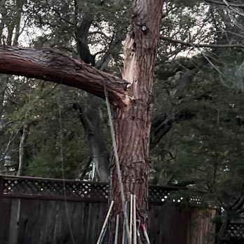 Hernandez Tree Service - Spilt tree - Tree Services Near Me - Castro Valley, California