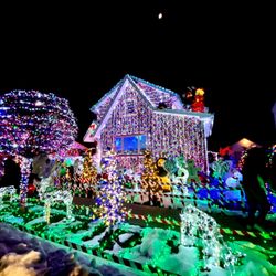Town Of Lyndhurst