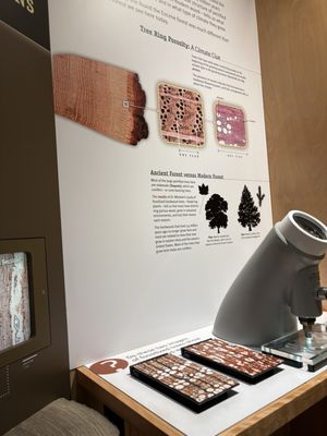 Florissant Fossil Beds National Monument by null