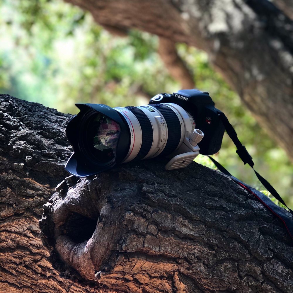 ERIC’S CAMERA REPAIR Updated July 2024 37 Photos & 81 Reviews