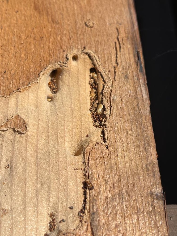 Slide of Rudy’s roofing