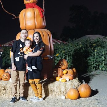 Frosty's Forest Pumpkin Patch - Photo op - Attraction Farms Near Me - Chino, California Frosty's Forest Pumpkin Patch - Photo op - Attraction Farms Near Me - Chino, California
