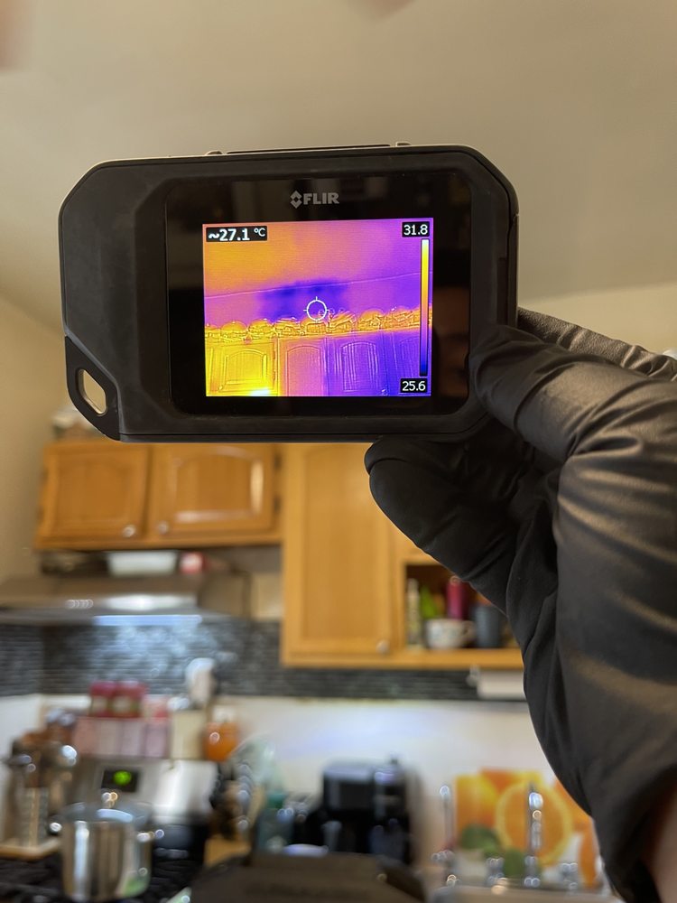 Mold Agent Group - mold inspector in Brooklyn, NY