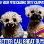 Photo of Great Guys Cleaning & Concierge