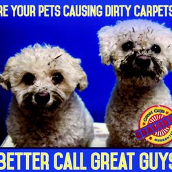 Great Guys Cleaning & Concierge
