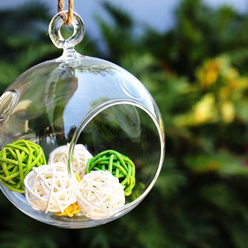 Vase Market - Glass Terrarium Orbs
http://vasemarket.com/glass-vases/terrarium - Wholesale Stores Near Me - La Puente, California Vase Market - Glass Terrarium Orbs
http://vasemarket.com/glass-vases/terrarium - Wholesale Stores Near Me - La Puente, California