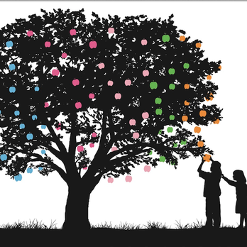 Colonial House 10 Reviews Preschools 1124 Mission St South Pasadena Ca Phone Number