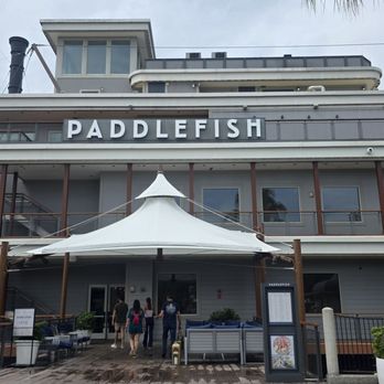 Paddlefish - The front of Paddlefish. - Seafood Near Me - Orlando, Florida Paddlefish - The front of Paddlefish. - Seafood Near Me - Orlando, Florida