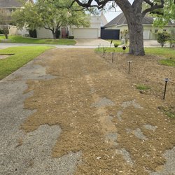 Bexar Junk Removal