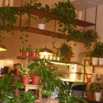 Green Haus Cafe - Interior - Cafes Near Me - Boston, Massachusetts