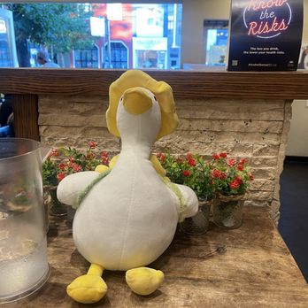 The Hungry Duck - Cute duck paraphernalia everywhere - Japanese Near Me - Vancouver, British Columbia The Hungry Duck - Cute duck paraphernalia everywhere - Japanese Near Me - Vancouver, British Columbia