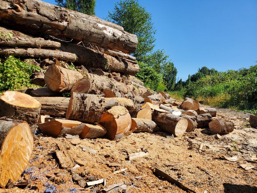 LUMBERJACK FIREWOOD Updated October 2024 Vancouver, British