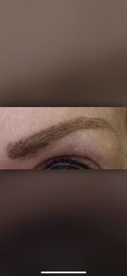 The Tattoo Lounge by null