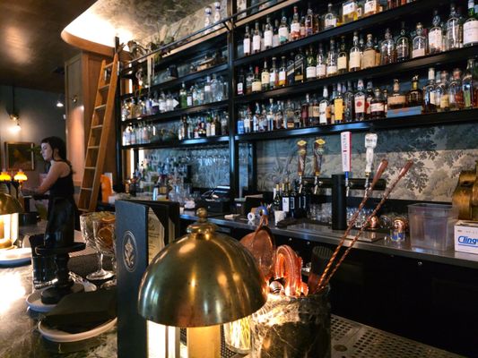 The Botanist by null