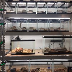 World Wide Aquarium & Pets
