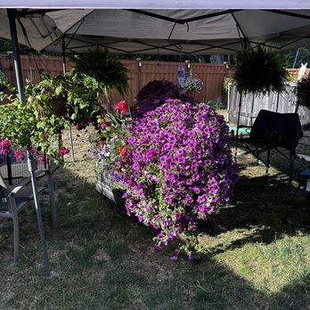 G E & B Nursery - Hanging baskets - Nurseries & Gardening Near Me - Enumclaw, Washington G E & B Nursery - Hanging baskets - Nurseries & Gardening Near Me - Enumclaw, Washington
