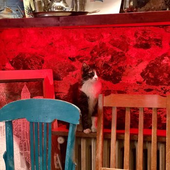Community Kitchen - One of two in-house kittays - Vegan Near Me - Istanbul, 34 Community Kitchen - One of two in-house kittays - Vegan Near Me - Istanbul, 34