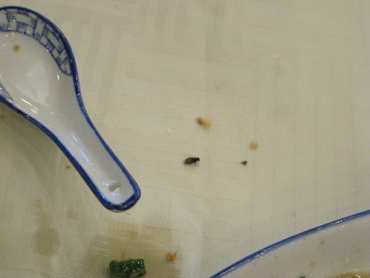 1463 Daisetta St by null