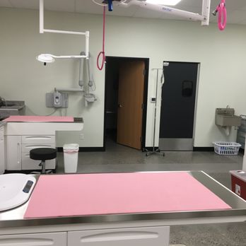 Arrowleaf Veterinary - Treatment area - Veterinarians Near Me - Hood River, Oregon Arrowleaf Veterinary - Treatment area - Veterinarians Near Me - Hood River, Oregon