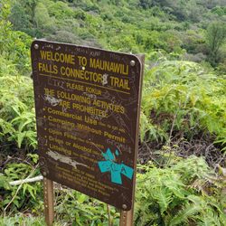 Maunawili Trail - Follow this sign downhill to the stream and the waterfall.