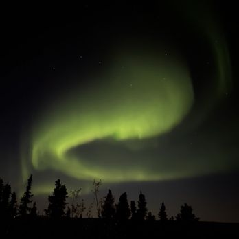 Borealis Basecamp - Hotels Near Me - Fairbanks, Alaska
