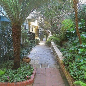 Macondray Lane Historic District - The lush tropics of San Francisco - Local Flavor Near Me Macondray Lane Historic District - The lush tropics of San Francisco - Local Flavor Near Me