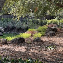 California Nursery Historical Park - New landscaping at California Nursery Historical Park.