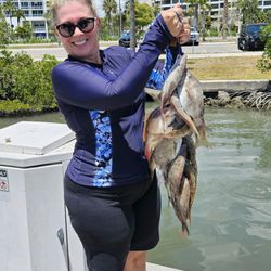 Flying Fish Fleet Deep Sea Fishing - My "take home" on 5-3-24