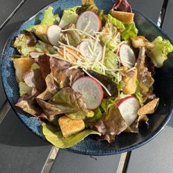 Terra Cotta - DInner salad with locally grown radishes, lettuce, and herbs.