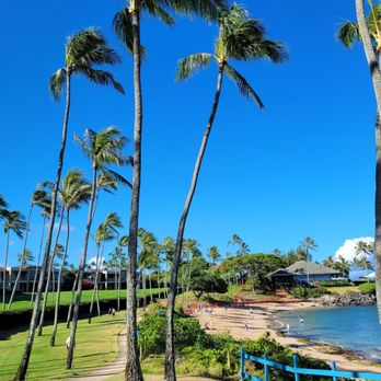Kapalua Beach - Beaches Near Me - Lahaina, Hawaii Kapalua Beach - Beaches Near Me - Lahaina, Hawaii