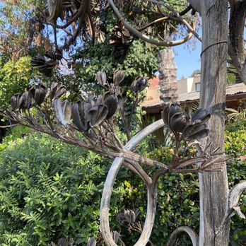 Pueblito los Dominicos - Tree - Home Decor Near Me - Santiago, RM Pueblito los Dominicos - Tree - Home Decor Near Me - Santiago, RM