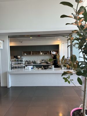 Best Boy Electric by null