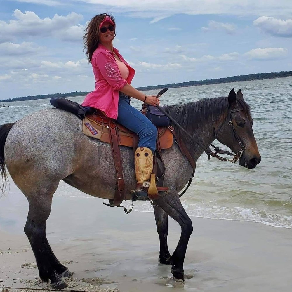 THE BEST 10 HORSE BOARDING near JASPER, GA 30143 - Updated 2026 - Hours -  Yelp