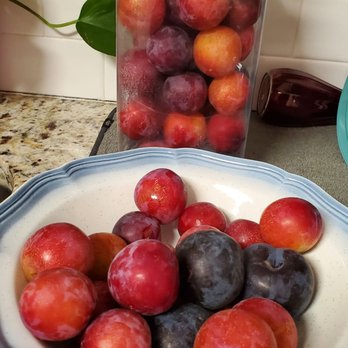 Holmestead Farms - This is all the fruit we picked for $96 the plumbs we $45 that is $7 a lb. CRAZY - Pick Your Own Farms Near Me - Talladega, Alabama