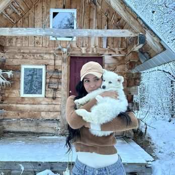 Firewalker Alaskan Malamute Kennel - Tours Near Me - North Pole, Alaska Firewalker Alaskan Malamute Kennel - Tours Near Me - North Pole, Alaska