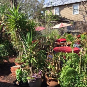 Crucial Coffee Cafe - Love the garden! Highlight of this visit - Coffee & Tea Near Me - Saint Augustine, Florida
