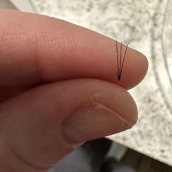 Deka Lash - One fell off an hour later. You can see it's the same as those 3 to 1 lashes