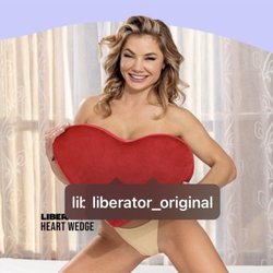 Love Nest - Liberator positioning pillow