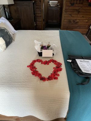 Zion White Bison Glamping + RV Resort by null