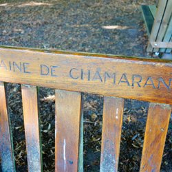 Domaine Départemental de Chamarande