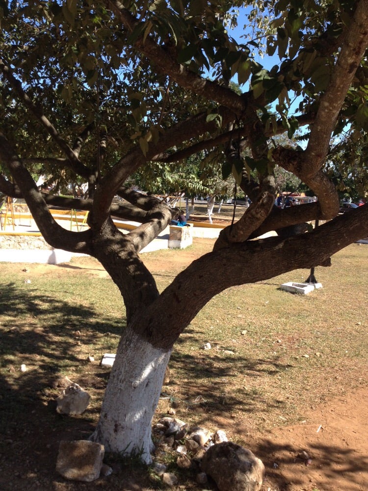 Parque De Poligono 108