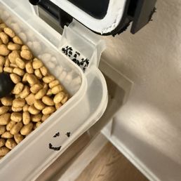 They tried to get into my dog's bombproof dog food bin. They tried to get into my dog's bombproof dog food bin.