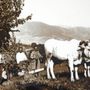 Photo of Bocale Vini