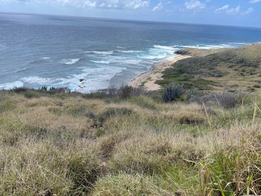 Point Udall by null