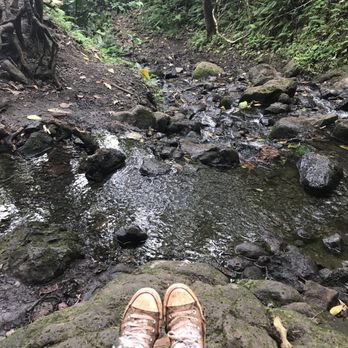 Likeke Falls - Hanging in the stream - Hiking Near Me - Honolulu, Hawaii