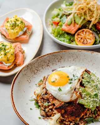 American Social - Bar & Kitchen - Tampa by null