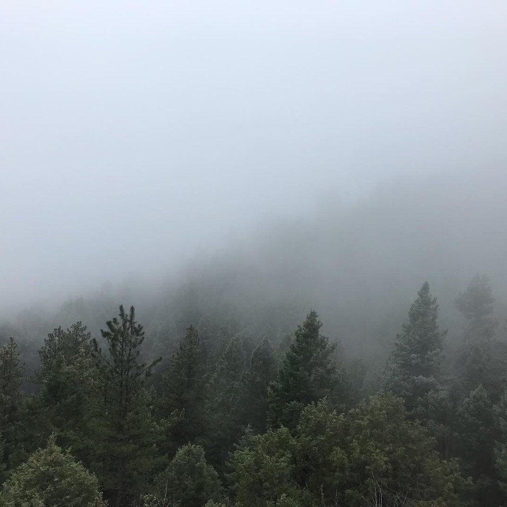 Reynolds Park Open Space - Hiking Near Me - Conifer, Colorado