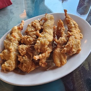 Tandoor Palace - Chicken pakora - Indian Near Me - Tannersville, Pennsylvania