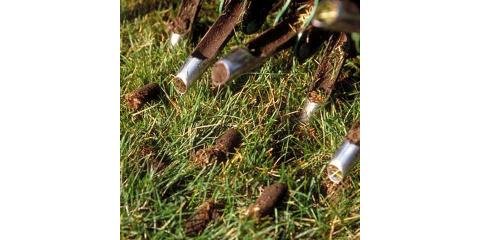 Slide of Nature Plus Lawn & Irragation